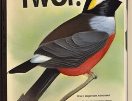 Jaka jest najgorsza książka o ptakach, którą kiedykolwiek czytałem?